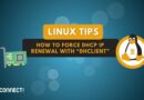 Linux - How to force DHCP IP renewal with dhclient