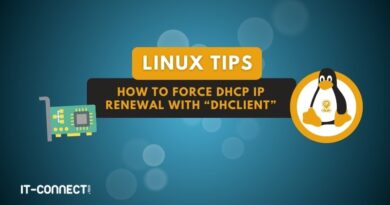 Linux - How to force DHCP IP renewal with dhclient