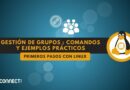 Linux - Gestión de grupos - comandos y ejemplos prácticos