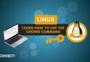 Linux - Learn How to Use the chown Command
