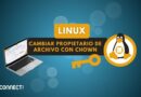 Linux - cambiar propietario de archivo con chown
