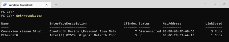 PowerShell - Get-NetAdapter - Example