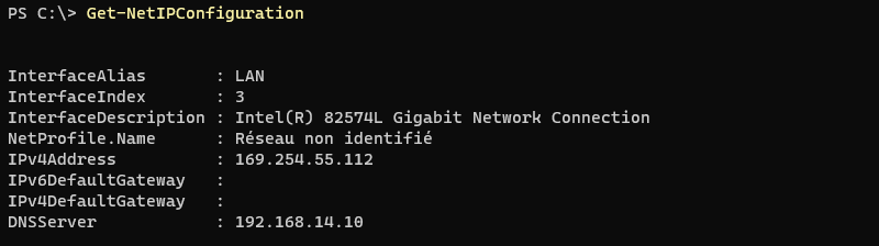 PowerShell - Get-NetIPConfiguration - Example