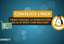 Linux - Cómo forzar la renovación de la IP DHCP con dhclient