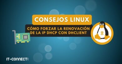 Linux - Cómo forzar la renovación de la IP DHCP con dhclient