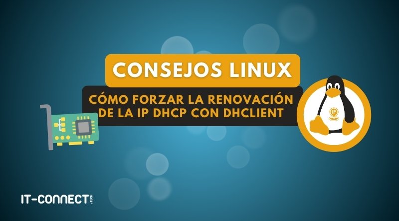 Linux - Cómo forzar la renovación de la IP DHCP con dhclient