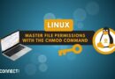 Linux - Master File Permissions with the chmod Command