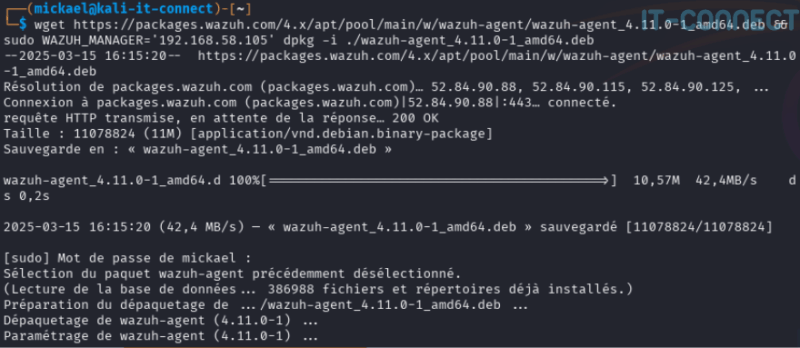 Download and install the Wazuh agent under Linux.