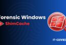 Banner for Forensic Windows ShimCache featuring a red Windows icon with a magnifying glass and IT-CONNECT.fr branding on a blue gradient background.