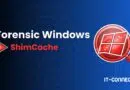 Banner for Forensic Windows ShimCache featuring a red Windows icon with a magnifying glass and IT-CONNECT.fr branding on a blue gradient background.