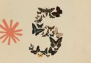 Patchwork collage of colorful butterflies forming a crescent on a beige background, with a pink starburst shape on the left.
