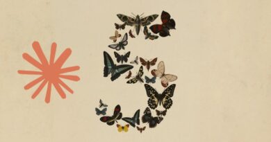 Patchwork collage of colorful butterflies forming a crescent on a beige background, with a pink starburst shape on the left.
