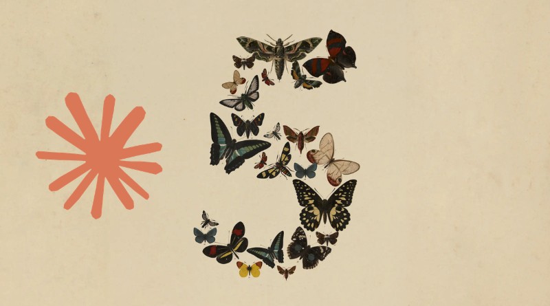 Patchwork collage of colorful butterflies forming a crescent on a beige background, with a pink starburst shape on the left.