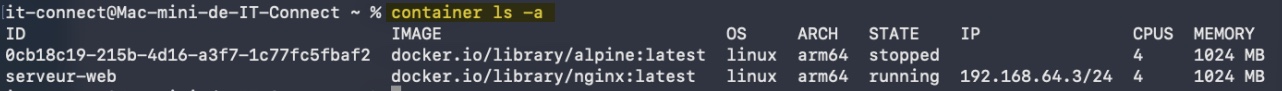 Terminal output shows commands to start and check Apache2, paired with a browser preview of the Ubuntu Apache2 default page showing 'It works!'