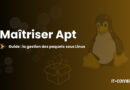 Hero banner: 'Maîtriser Apt' – Guide : la gestion des paquets sous Linux, with a penguin and a glowing box on a brown gradient background.
