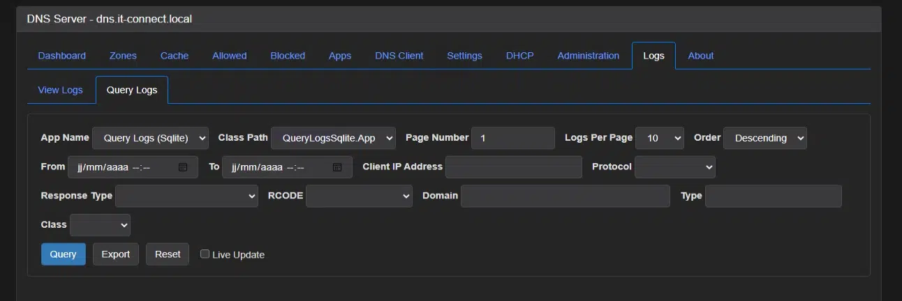 Screenshot of a DNS server management interface showing the Logs tab with a Query Logs form, including fields for app name, class path, page number, logs per page, date range, and filters like client IP, protocol, response type, domain, and type; action buttons labeled Query, Export, Reset and a Live Update option.