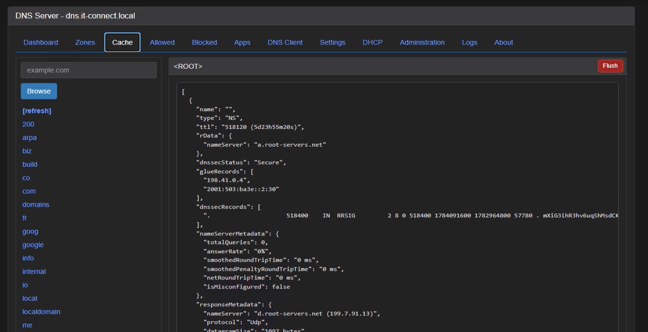 Screenshot of DNS Server UI on the Cache tab: left sidebar with domains, top navigation, and a right panel showing JSON root data; input shows example.com and a Flush button.