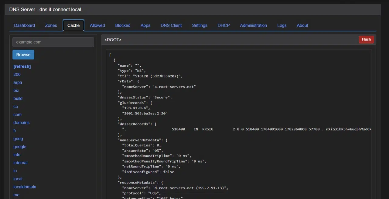 Screenshot of DNS Server UI on the Cache tab: left sidebar with domains, top navigation, and a right panel showing JSON root data; input shows example.com and a Flush button.