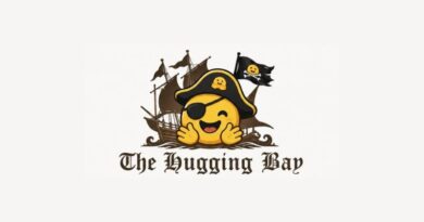 Logo featuring a smiling pirate-emoji with an eyepatch hugging its cheeks in front of a sailing ship, with the gothic text The Hugging Bay beneath it.