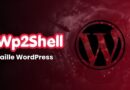 Wp2Shell logo with the text 'Faille WordPress' and a WordPress emblem on a dark red background.