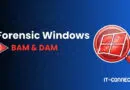 Forensic Windows BAM & DAM banner with a magnifying Windows logo on the right and IT-CONNECT.fr branding.