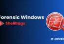 Banner promoting 'Forensic Windows ShellBags' with a red Windows-in-magnifying-glass icon and IT-Connect branding on a blue gradient background.