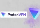 ProtonVPN logo with gradient triangular icon and the 'ProtonVPN' wordmark on a light background