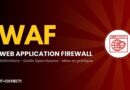Banner introducing Web Application Firewall (WAF) with large 'WAF' text and a globe-with-shield icon on the right; IT-Connect logo at bottom left.