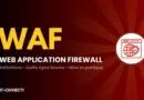 Banner introducing Web Application Firewall (WAF) with large 'WAF' text and a globe-with-shield icon on the right; IT-Connect logo at bottom left.