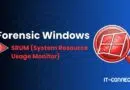 Windows Forensics, Part 12: Analyzing SRUM