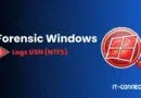 Windows Forensics Part 10: Analyzing the NTFS USN Journal