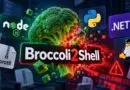 Broccoli2Shell: Node2Shell’s Brotli Flaw Now Affects Python, .NET, and Linux