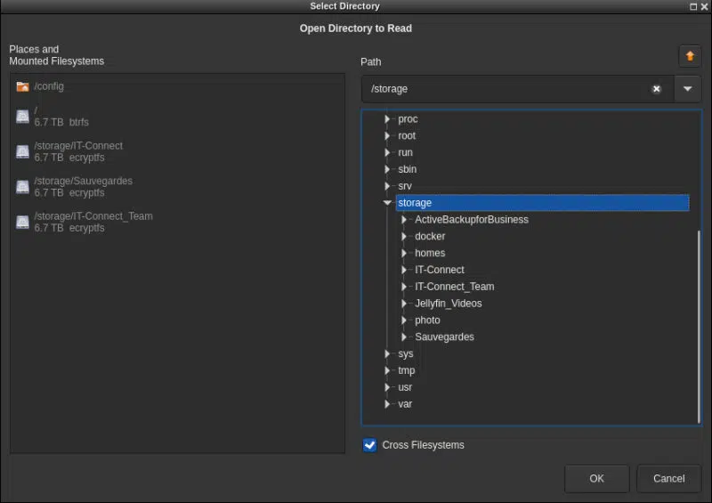 QDirStat : sélection du dossier /storage et option Cross Filesystems
