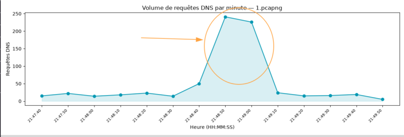 Représentation graphique du volume de requête DNS.