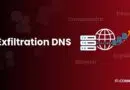 DNS Exfiltration: How to Detect and Block a Silent Data Leak Channel
