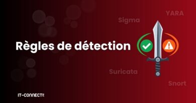 Public Detection Rules: A Powerful Asset with Hidden Risks