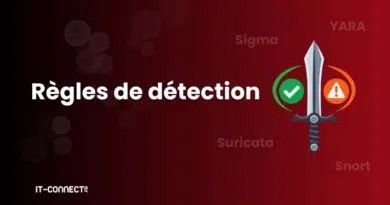 Public Detection Rules: A Powerful Asset with Hidden Risks