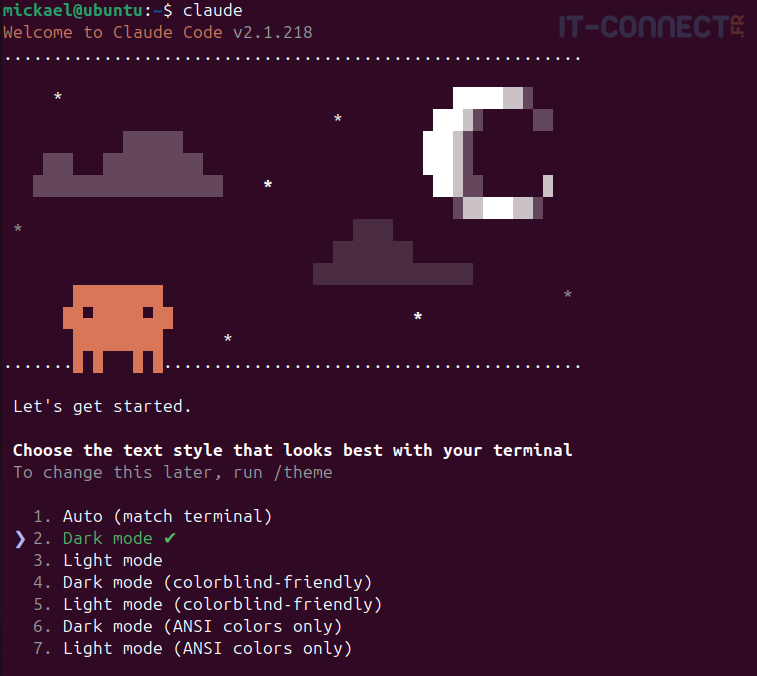 Sélectione du thème au lancement de Claude Code CLI.