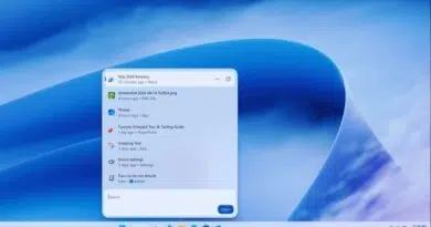 Windows 11 Search Is Evolving Into an Action Center